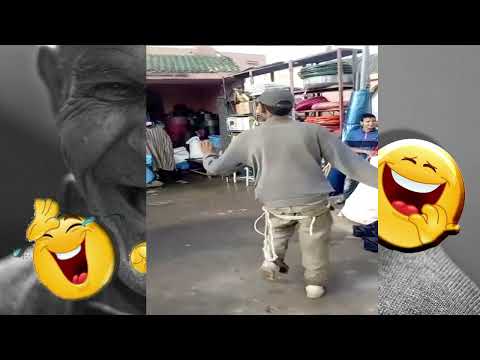 Fokaha Maroc Fokaha 2022 Comedy Maroc