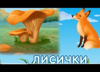 Грибы Учимся с Лунтиком Сборник новых серий