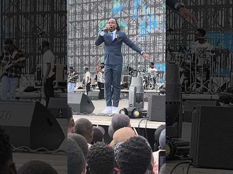 Best Naso Gonga Likes