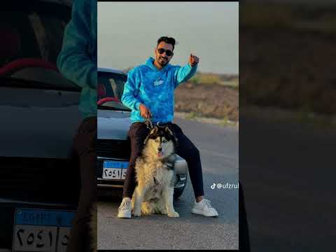 عاصم هنيدي مهرجان مالينو اكسبلور ترند تيك توك