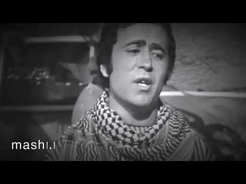 كان عندي غزال دريد عواضة