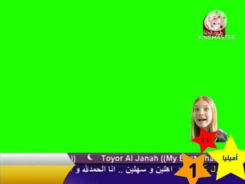 طيور الجنة شاشة مباشر أخضر