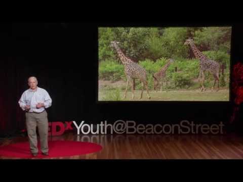 Saving Animals Saving The Future John Linehan TEDxYouth BeaconStreet