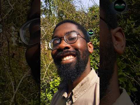 Believing In Yourself Should Never Be A Chore For You