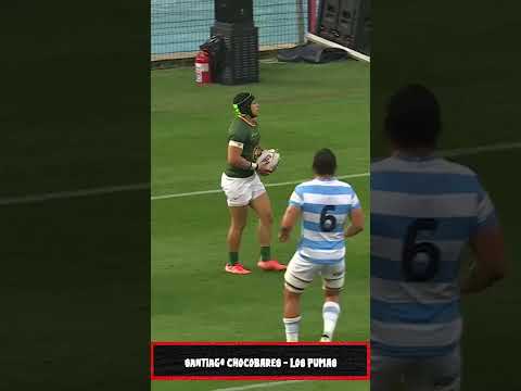Most BIZARRE Try EVER Springboks Vs Los Pumas Rugby