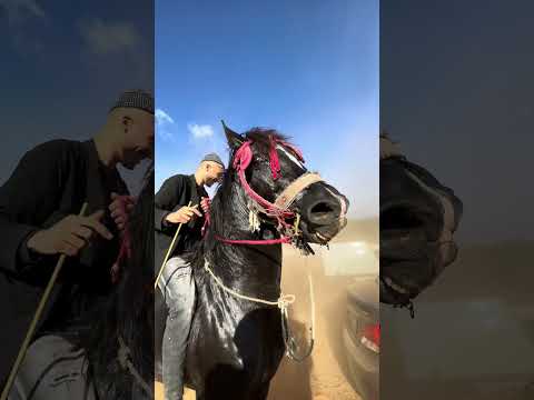 أجواء سوق الثلاثاء الخميسات اليوم 28 10 2025 أو مرحبا بالناس ديال زاگورة خالد الطلبة