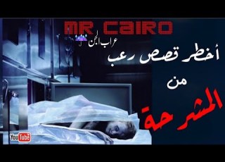 اكتر من ساعة ونص تجارب المشرحة المخيفة على صوت المطر والرعد