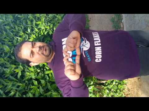 مروح على العيد سلم الحبايب مع تحيات هيثم الصعيدي