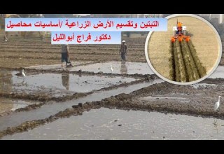 التبتين وتقسيم الأرض الزراعية أساسيات محاصيل