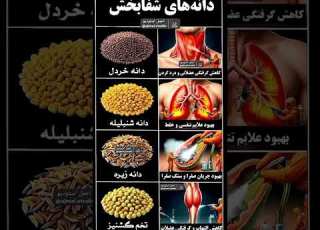 ۴ دانه شگفت انگیز که بدن تو از درون ترمیم می کنن سلامتی طب سنتی درمان طبیعی دانه های شفابخش