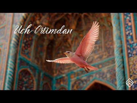 TASMIN Uch Ortimdan Лети за мной O Zbekcha Versiyasi Узбекская версия Official Audio 2026 Music