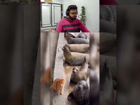 تضحك تخسر الحلقة 12