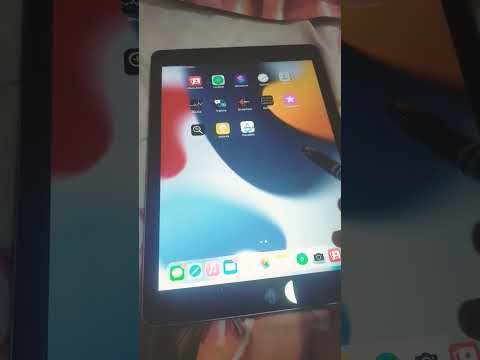 رح احمل توكا بوكا