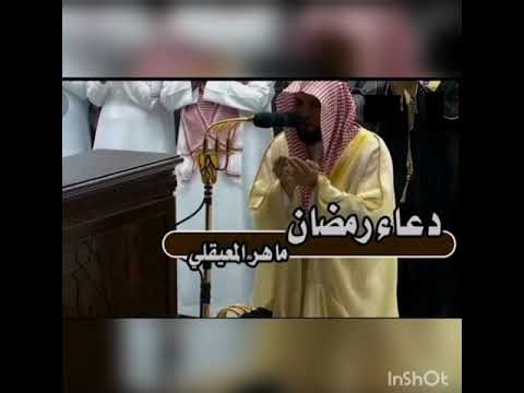 6 دعاء الشيخ ماهر المعيقلي رنة هاتف Phone Ringtone Duaa Shikh Maher Muaikly 6 دعاء الشيخ ماهر المعيقلي رنة هاتف Phone Ringtone Duaa Shikh Maher Muaikly