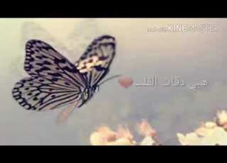 هايدي لروحي رفقاتي كلهم فراشات ورحي انتو