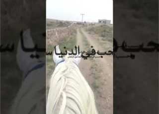  احسب قلبي من الأشواق تاب