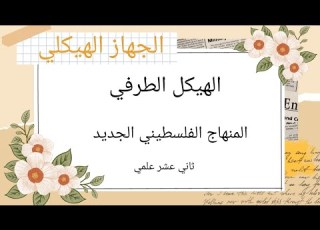 الهيكل الطرفي