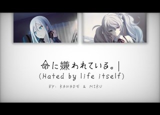 25ji Night Code De 命に嫌われている Hated By Life Itself Sekai Full Ver ProjectSekai Kan Rom Eng