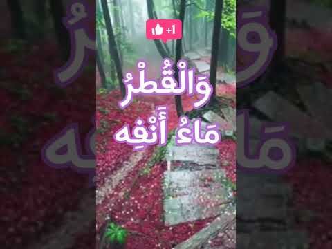 نظم مثلث قطرب معاني كلمة القطر إلقاء أسامة الواعظ حفظه الله