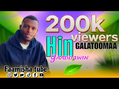 New Nashiida Haraya Fahmi Jamaal Hin Yaadawin Hundaaf Rabbiitu Jiraa Jattu Guutu