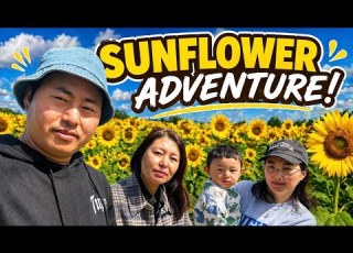 Tour Of Majura Valley Farm Sunflower Garden