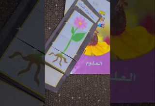 مطويه العلوم للصف اول ابتدائي فصل الدراسي الأول أجزاء النبات Shortsvideo اكسبلورفولو لايك