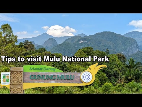 Tips To Visit Mulu National Park Sarawak