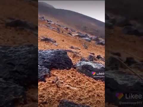 نايف راضي عجزت انساك والماضي يرجعني