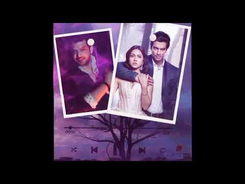 TERE ISHQ MEIN GHAYAL THEME SONG