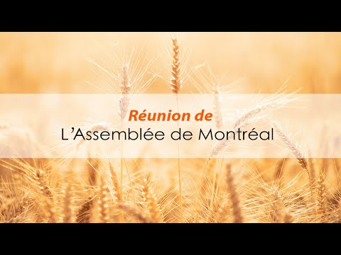 Dimanche 29 Mars 2026