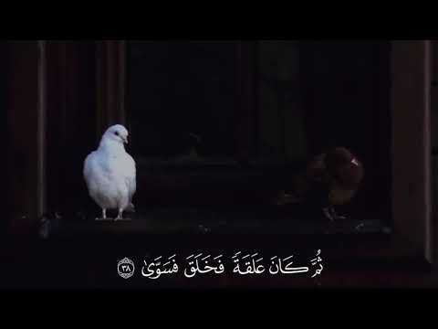 أيحسب الإنسان أن يترك سدى ألم يك نطفة من مني يمني ثم كان علقة فخلق فسوى عبدالرحمن العولقي أيحسب الإنسان أن يترك سدى ألم يك نطفة من مني يمني ثم كان علقة فخلق فسوى عبدالرحمن العولقي