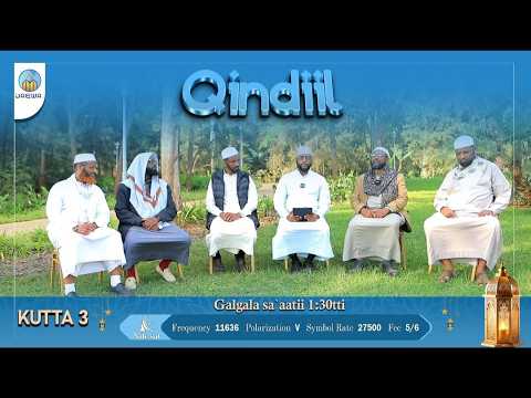 Qindiil KUTTA 3