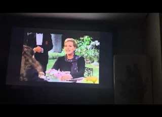 Opening To Disney S Å Saintly Switch 2001 Gold WDHV VHS