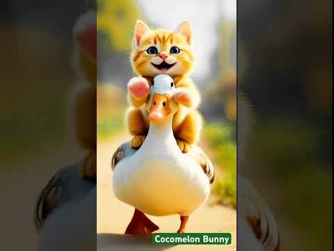 Dudi Dudi Dum Dum Shorts Shortsfeed Dudidudidam Viralvideo