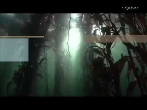 إنشودة هي جنة بدون موسيقى