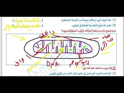 حل امتحانات المرشد احياء تانية ثانوي ازهر امتحان القليوبية 2025