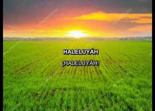  YOSEF KARDUNER CHAIM LUK HALELUYAH TEHILIM 150 Subtítulos Fonética Español