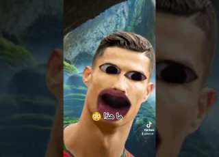 نباش القبور