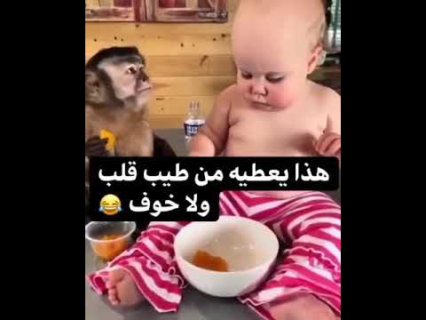 بيعطيه عن طيب خاطر