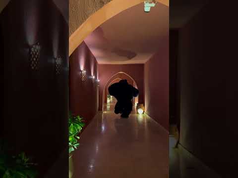 خد يمين اكسبلور مهرجانات Explore Gorilla ترند Funny مهرجان Music كيوت Dance خد يمين اكسبلور مهرجانات Explore Gorilla ترند Funny مهرجان Music كيوت Dance