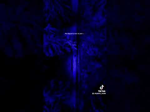 أغنية بيبي نتي أمورى ملي عرفتك مكتوبة