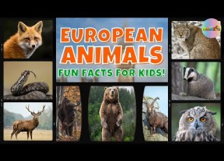  Get To Know European Animals And Their Fun Facts Animalnames Europe Kiddizoo