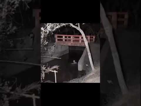 REAL GHOST CAUGHT ON CAMERA Viralshorts Shorts ScaryRT