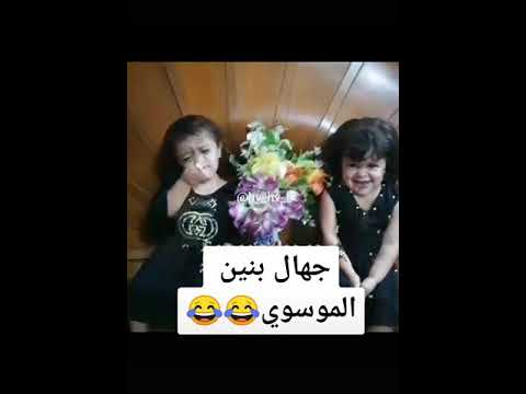 جهال بنين الموسوي اكلج حبي هاا حبي