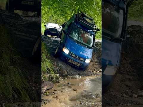 This Was A Close Call For Pedro The Panda