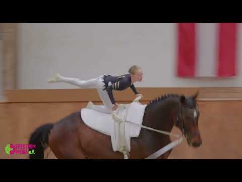 Voltigierturnier WBO 2025