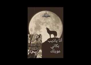  موال خالد ابو حمدي الا يا ذيب بكاني عويلك مع الكلمات