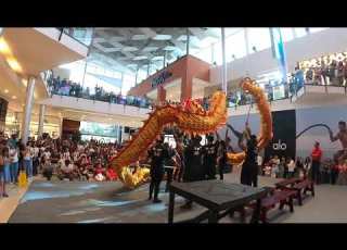  Dragon De Fa Yen En Multiplaza Panamá