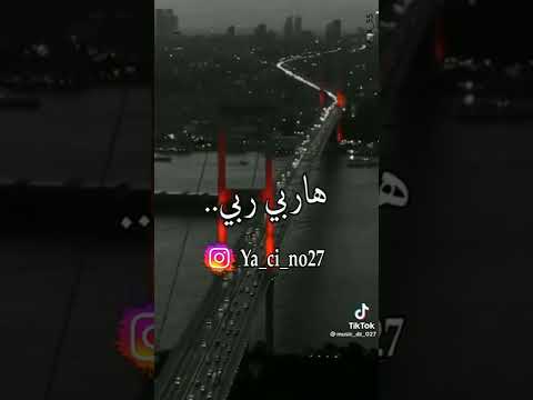 جاتني مولات كابة اغاني Shorts قصص