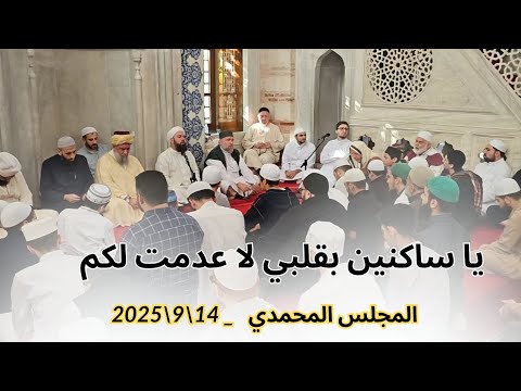 14 9 2026 يا ساكنين بقلبي لا عدمت لكم إنشاد المجلس المحمدي الشيخ محمود الدرة